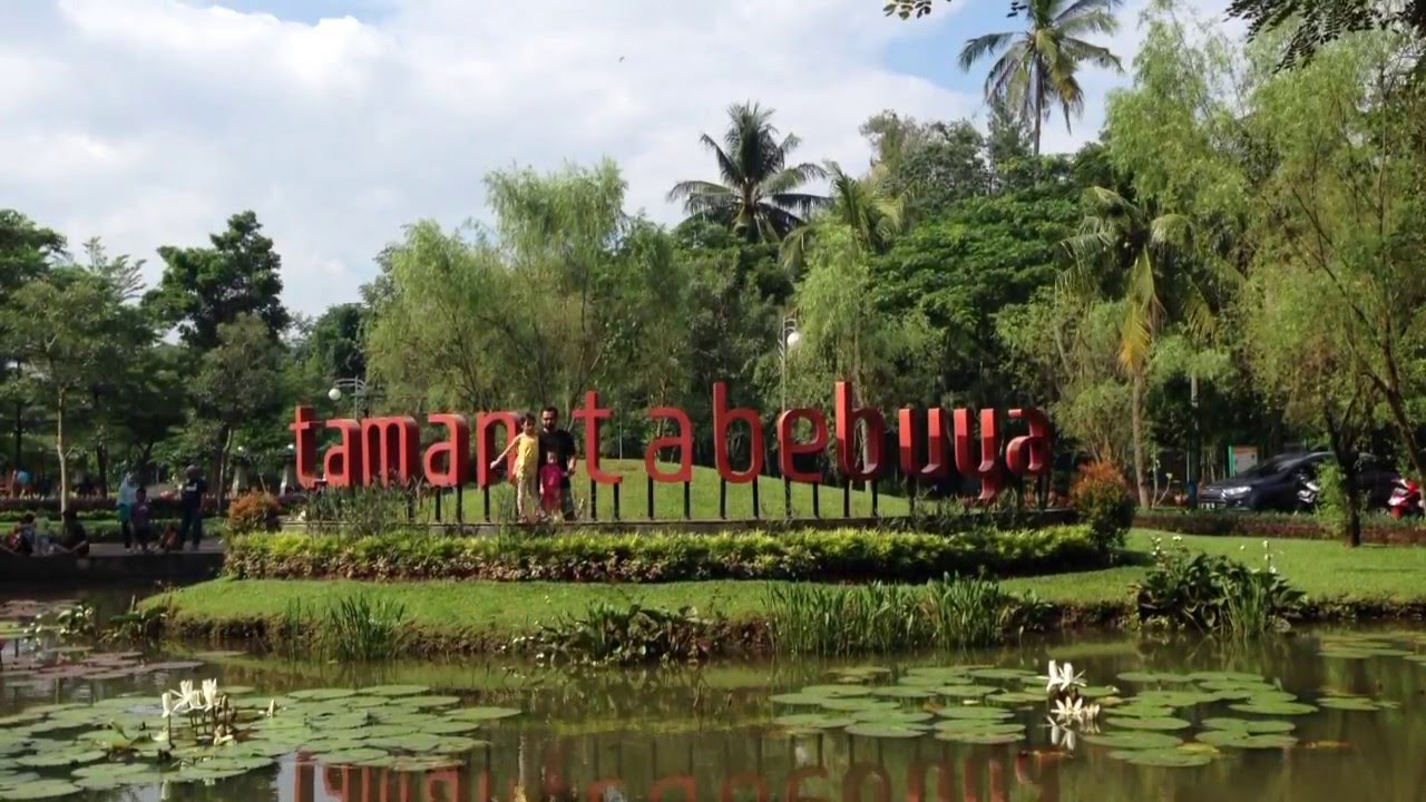 Image result for taman tabebuya